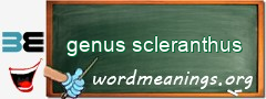 WordMeaning blackboard for genus scleranthus